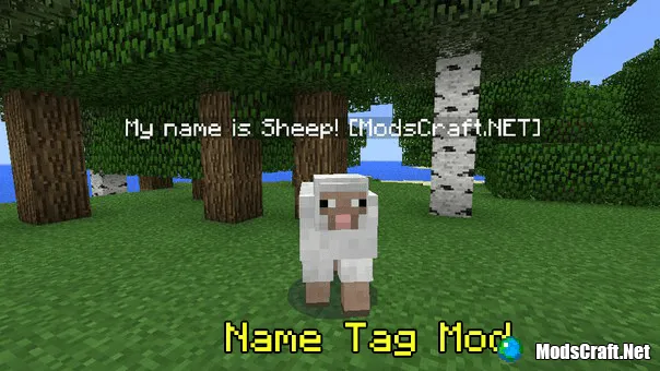 Мод: Name Tag 0.13.1, 0.13.0