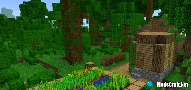 Сид: Деревня в джунглях и два Храма в пустыне