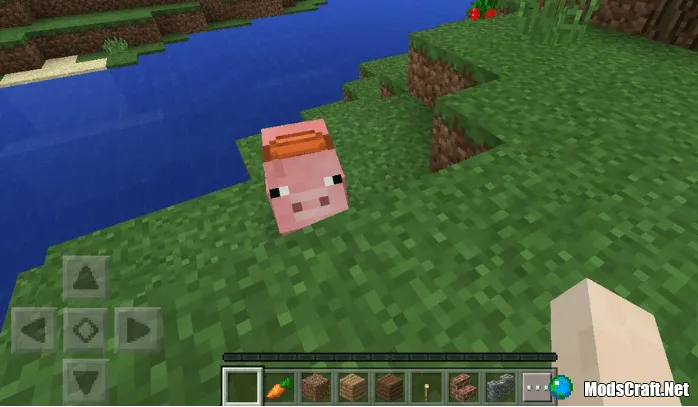 Свинья с седлом