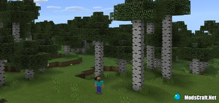 Сид: Редкий березовый лес [1.0/0.17.0]