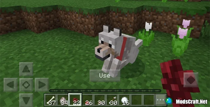 Мод My Wolf 1.0/0.17.0/0.16.1