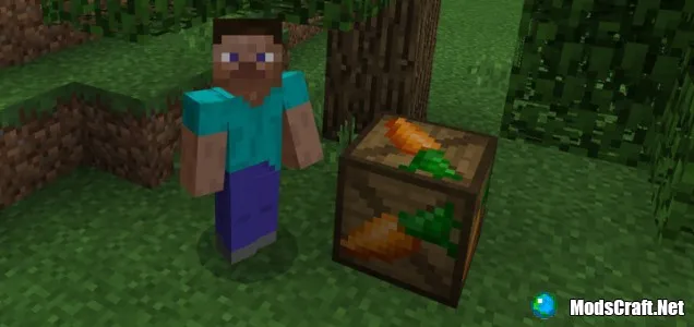 Мод Better Storage 1.2/1.1