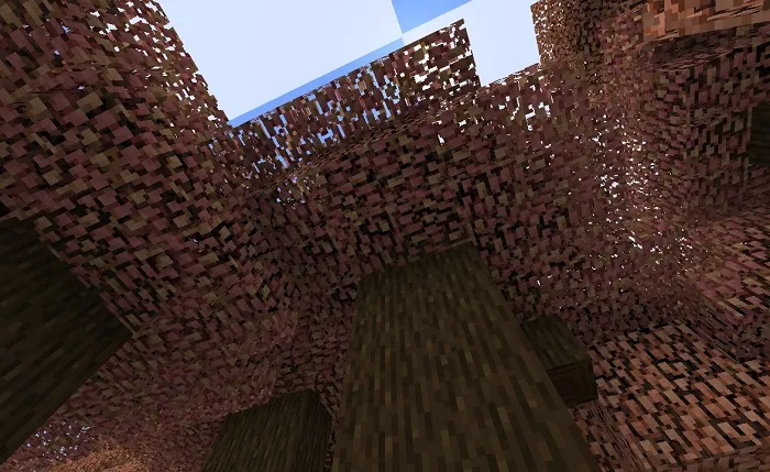 С Первым Сентября!