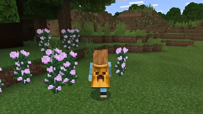 Майкон Лайв 2019 — В Майнкрафт ПЕ появятся плащи