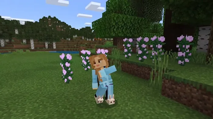 Майкон Лайв 2019 — Использование эмоций в Minecraft