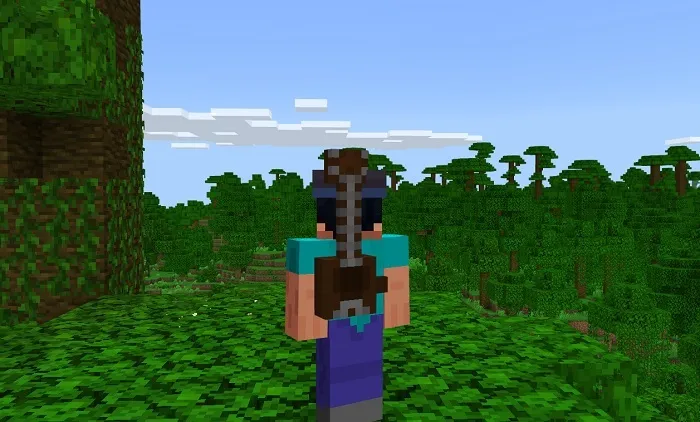 Гитара на спине игрока