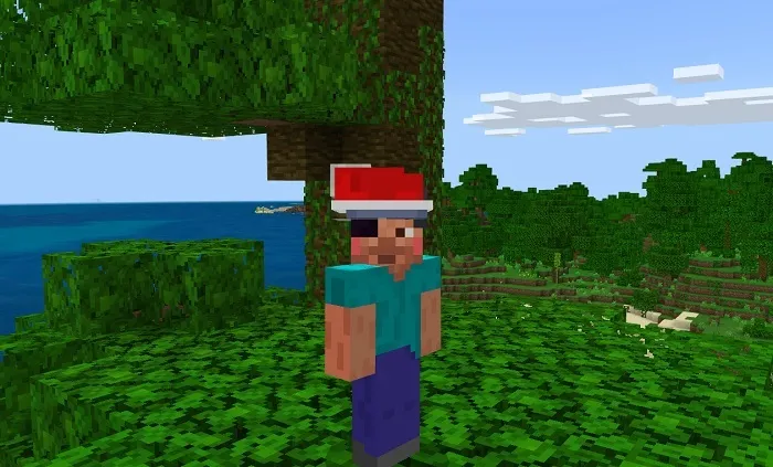 Шапка деда мороза