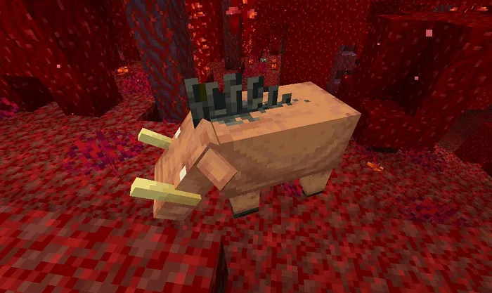 Minecraft — Свинорылы и Свинопотамы!