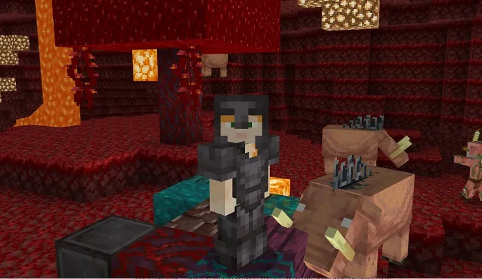 Мод: Концепт Обновления Незера