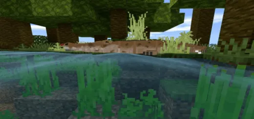 Мод Amazonian Wonders 1.14+