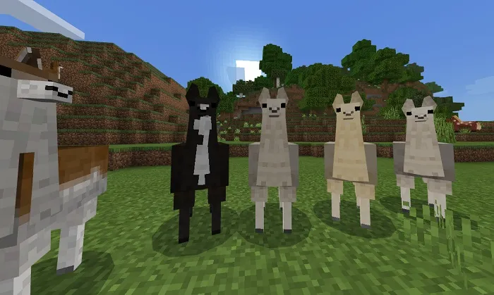 Текстуры: Милые Ламы 1.16+