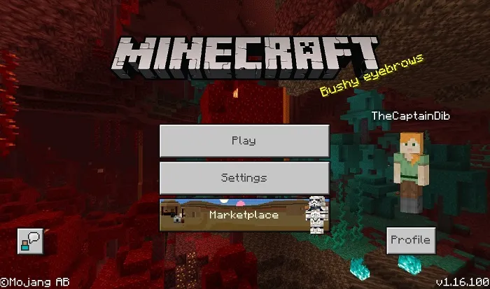 Майнкрафт ПЕ 1.16.101 [Полная версия]
