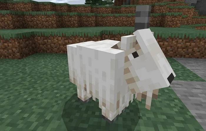 Майнкрафт ПЕ 1.16.210.51 [Тестовая версия]