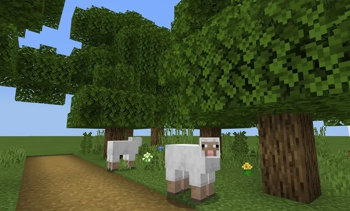 Уровень с овечками