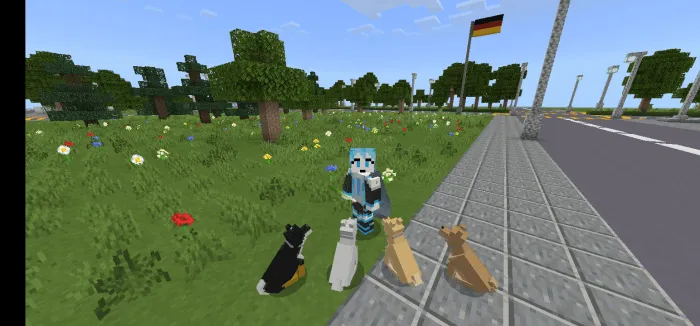 Мод: Сиба-Ину