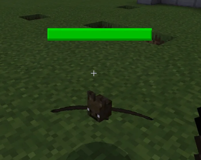 Индикатор здоровья