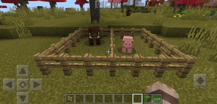 Мод: Бородавочник