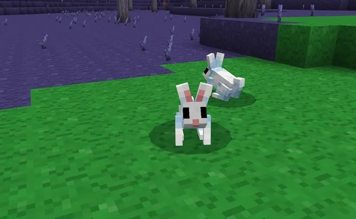 Мод Террария в Бедрок