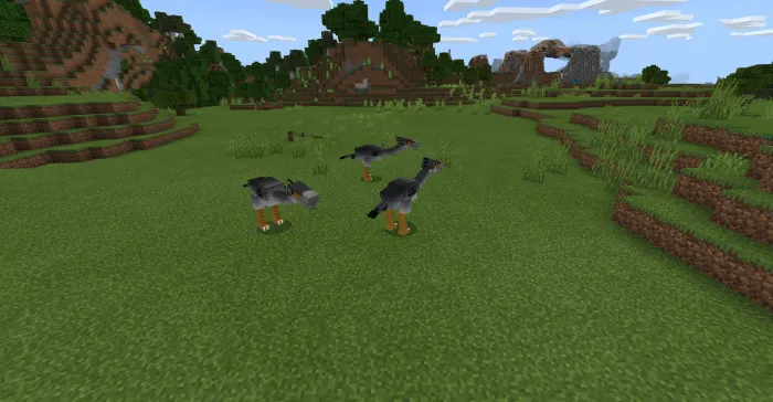 Мод: Ископаемые и археологические птицы