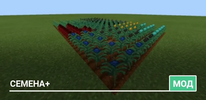Мод: Семена+