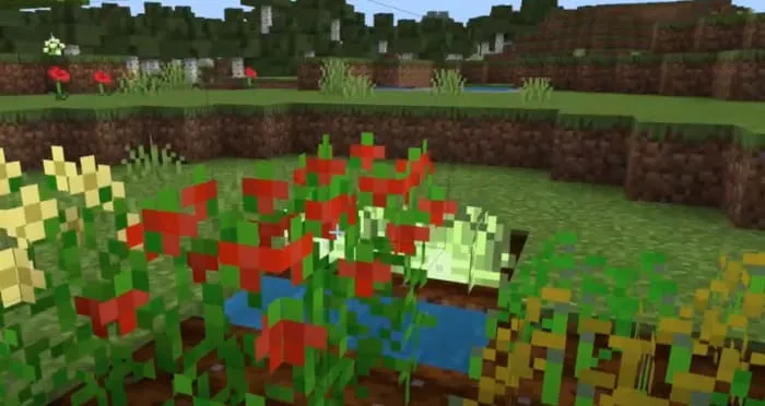 Мод: Креативная Готовка