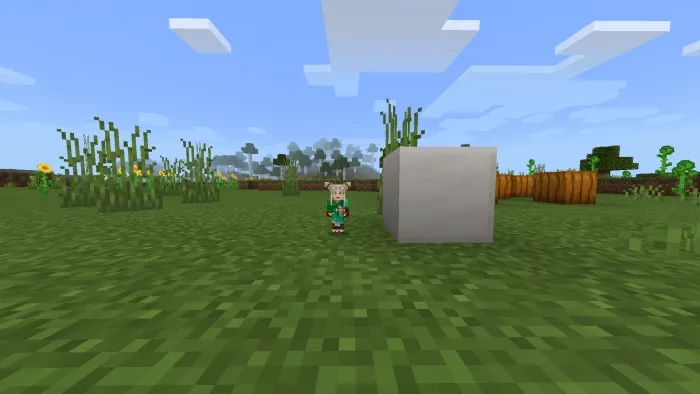 Мод: Размер Игрока