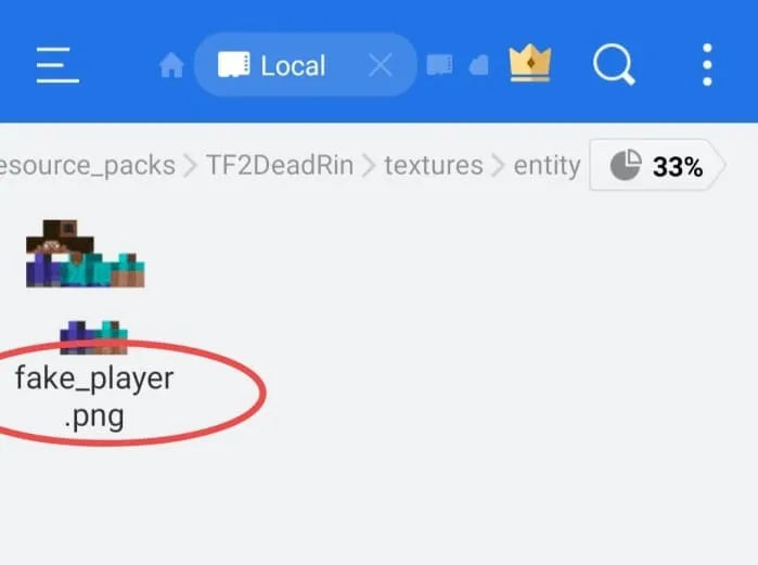 Установка своего скина в моде