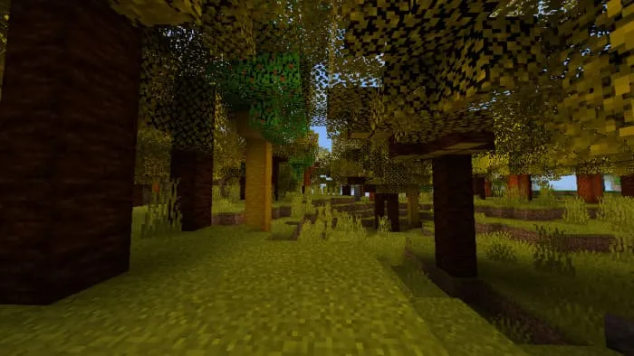 Берёза плосколистная