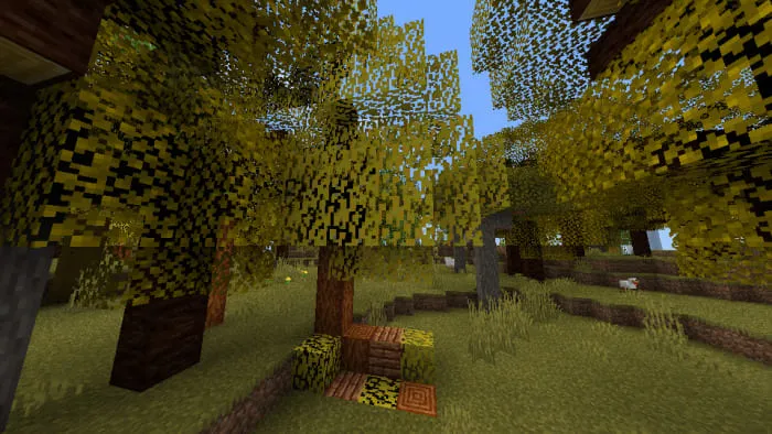 Жёлтое гинкго