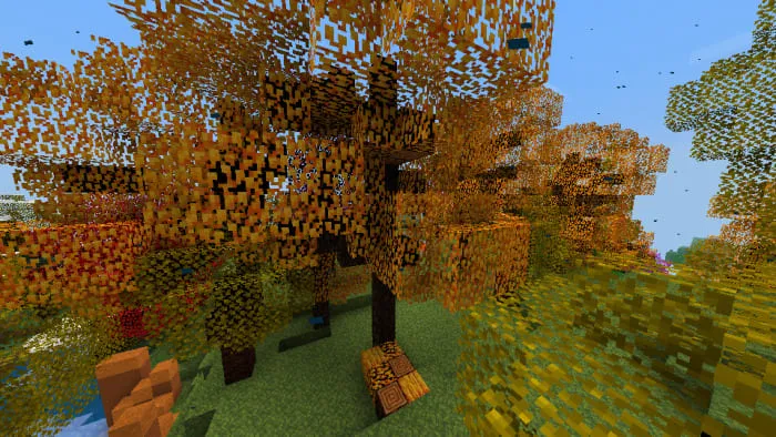 Клен Фримена