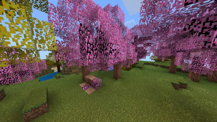 Вишнёвое дерево