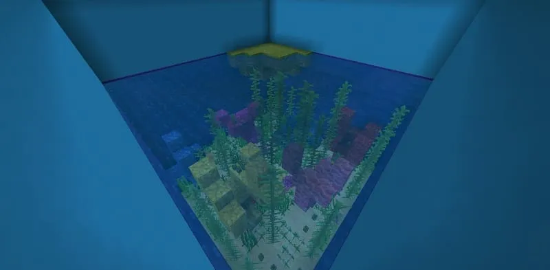 Отыщи кнопку в воде