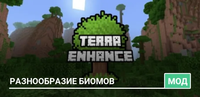 Mod: TerraEnhance