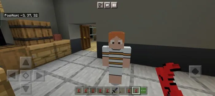 Лиза в Minecraft