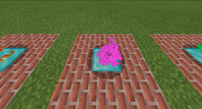 Частицы Края