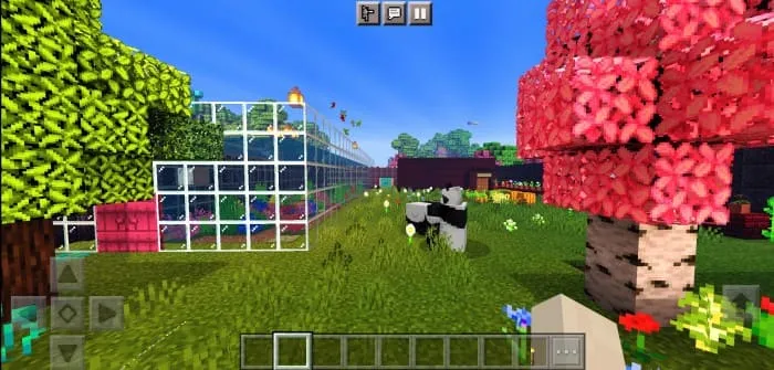 Сад на карте