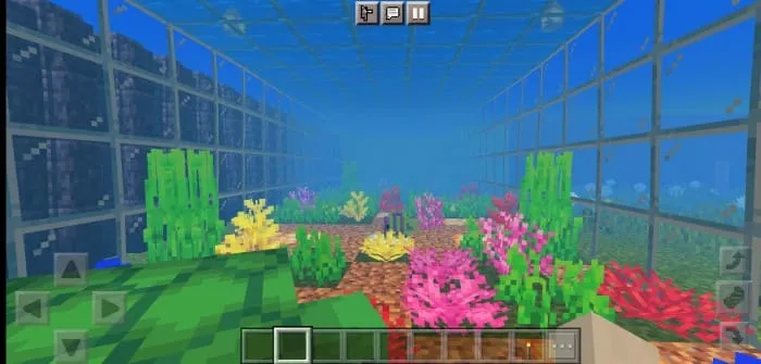 Большой аквариум на карте