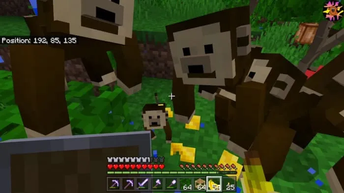 Кормление обезьян