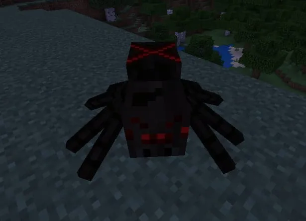 Ведьминский паук