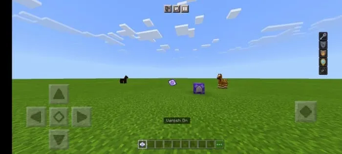 Невидимый игрок