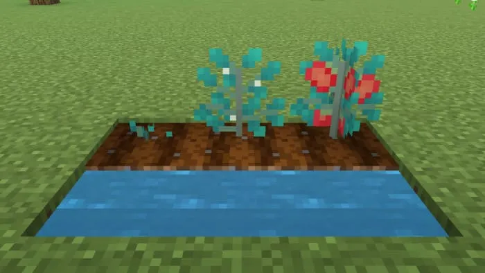 Помидоры в Майнкрафт