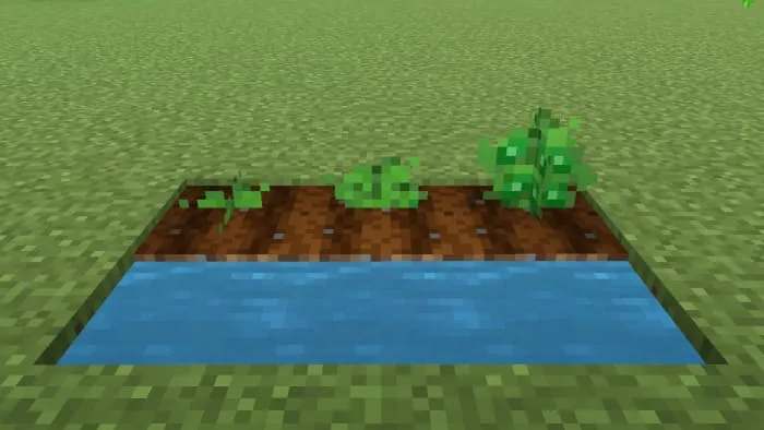 Огурцы в Майнкрафт