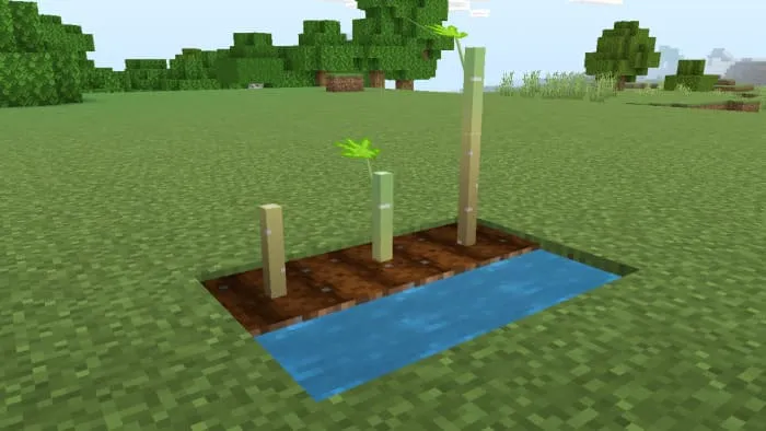 Маниок в Майнкрафт