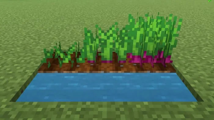 Шалот в Майнкрафт