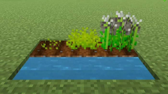 Рис в Майнкрафт