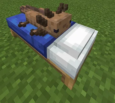 Коричневый аксолотль на кровати