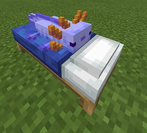 Синий аксолотль на кровати