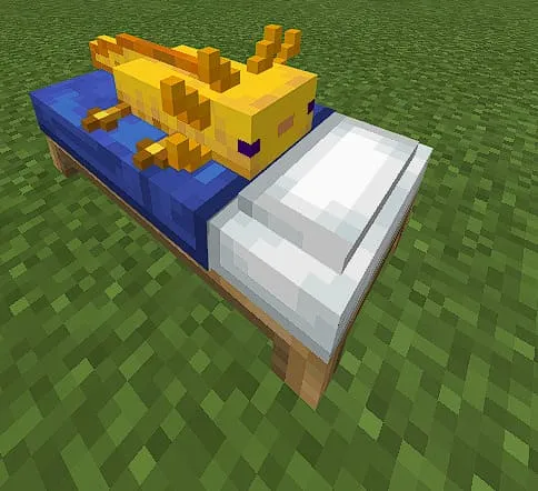 Жёлтый аксолотль на кровати