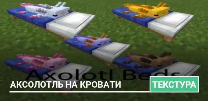 Текстуры: Аксолотль на кровати