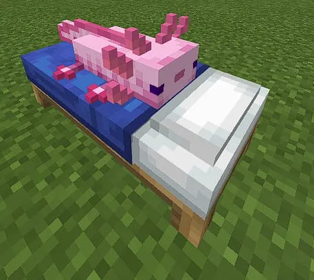 Розовый аксолотль на кровати